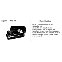 (AC21-783) - 2008-2009 D ORGANIZER PKG/CARGO
