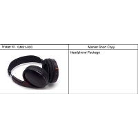 (GM21-020) - 2010      N HEADPHONE/ SEAT ENTERTAINMENT (UPGRADE)