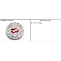 (6D21-021) - 2010      N  CAP PKG