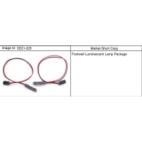 (6D21-026) - 2008-2009 DM  PKG/FOOTWELL LUMINESCENT (W/O HARNESS)