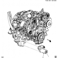 (TC02-801) - 2005      CK2,3   (LLY/6.6-2)