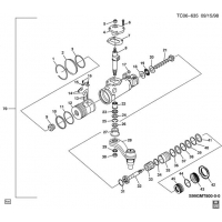 (TC06-635) - 1999-2007 CK2    