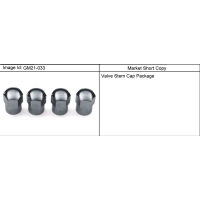(GM21-033) - 2007-2009 CK1 APPEARANCE PKG/VALVE STEM CAP