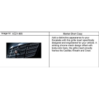 (AC21-865) - 2007-2009 CK1(06-36) GRILLE PKG/RADIATOR (Z75)