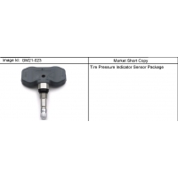 (GM21-023) 2011-2013 DM ACCESSORY PKG/TIRE PRESSURE INDICATOR SENSOR