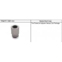 (GM21-024) 2008-2013 DM69 ACCESSORY PKG/TIRE PRESSURE INDICATOR SENSOR NUT