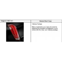(6N21-017) 2011-2013 N LAMP PKG/TAIL