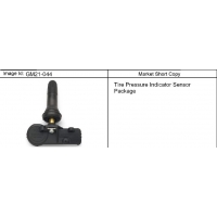 (GM21-044) 2010-2013 CK1,2,3 ACCESSORY PKG/TIRE PRESSURE INDICATOR SENSOR