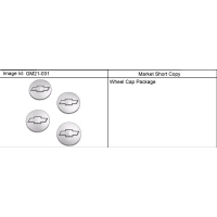 (GM21-031) - 1999-2006 CK1   (CLEAR BOWTIE LOGO)