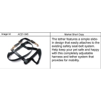 (AC21-545) - 2002-2005 ST1 PET RESTRAINT PKG