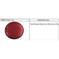 (TC21-134) - 2008-2009 CK107(06) /  FASCIA ACCESS HOLE(X88,Z88)