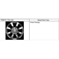 (TC21-099) - 2008-2009 CK1   (CK375)(X88)