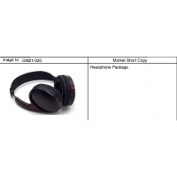 (GM21-020) 2004-2012 ST1 HEADPHONE/  ENTERTAINMENT (UPGRADE)