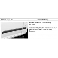 (TS21-063) 2009-2012 ST1(03-53) MOLDING PKG/BODY SIDE LOWER