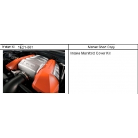 (1E21-001) 2011-2013 ES  / (LS3,L99)