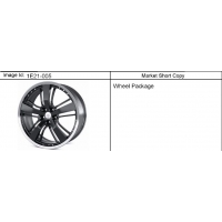 (1E21-005) 2011-2013 EE,EF,ES   (   )