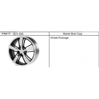 (1E21-006) 2011-2013 EE,EF,ES   (      )
