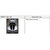 (1E21-026) 2010-2013 EE,EF,ES37   (RALLY)