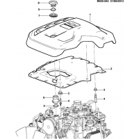 (B500-043) 2013 2S06   / (LY7)