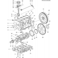 (RP00-022) - 2010      P69   - 2,0  L4  1   &  (LLW/2.0R)