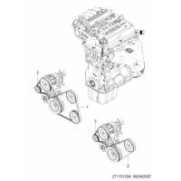   (T5)  (1131)