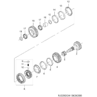    ( D33)  (3236)