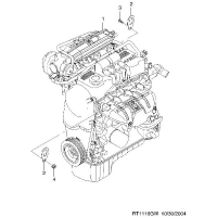 (T4)  (1116)