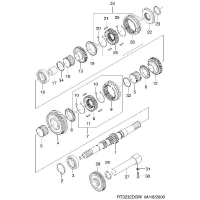     II (Y4M)  (3232)