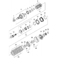    (GMPT)  (3631)