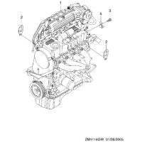 (T4)  (1116)