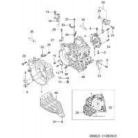 ,         (3623)