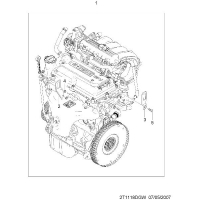 (T5)  (1118)
