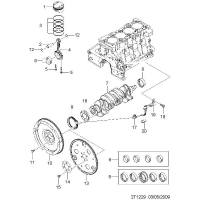    (GEN3)  (1229)