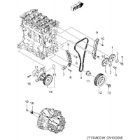   (T5)  (1338)