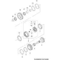    ( D33)  (3236)