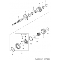    ( D33)  (3234)