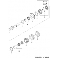    ( D33)  (3235)