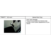 (AC21-847) - 2003-2006 N257 APPEARANCE PKG/ LATCH