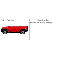 (TN21-043) - 2003-2009 N2 MOLDING PKG/ROCKER PANEL