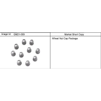 (GM21-009) - 2005-2009 N257(06-36) APPEARANCE PKG/WHEEL NUT CAP