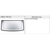 (TN21-022) - 2006-2010 N1 APPEARANCE PKG/ 