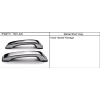 (TN21-029) - 2006-2010 N1 APPEARANCE PKG/ 
