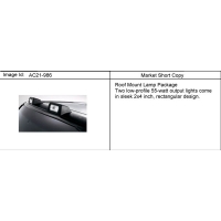 (AC21-986) - 2006-2010 N1 LAMP PKG/ROOF MOUNT