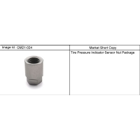 (GM21-024) - 2008-2009 N2 /    NUT