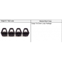(TN21-009) 2006-2010 N153(06) CARRIER PKG/TIE DOWN LOOP