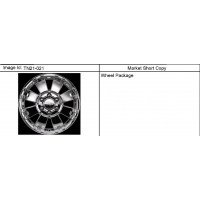 (TN21-021) 2006-2010 N1 WHEEL PKG (H3491)