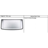 (TN21-022) 2006-2010 N1 APPEARANCE PKG/HOOD GRILLE
