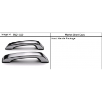 (TN21-029) 2006-2010 N1 APPEARANCE PKG/HOOD HANDLE