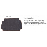 (TN21-028) 2006-2010 N1(06) MAT PKG/CARGO CARPET