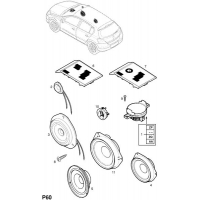  - <I> (CD30,CD50)</I>
